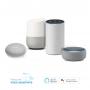 assistant vocaux alexa et google home