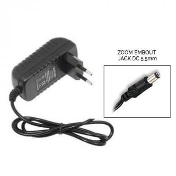 Transformateur 220 Volts en 12 Volts et 1 Ampère connecteur standard diamètre 5,5 mm