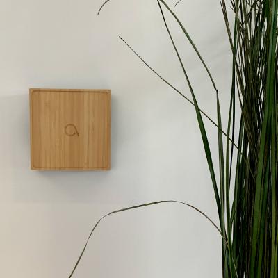 Mise en situation recepteur Bamboo filaire 2