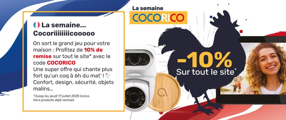 10% de remise sur tout le site ! 