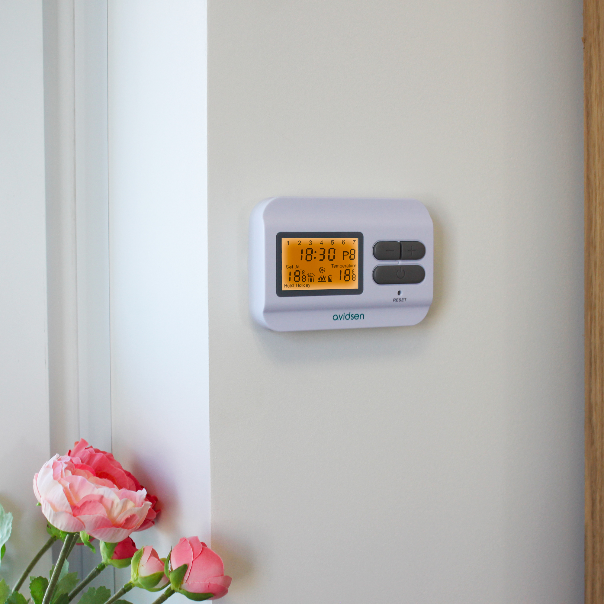 Thermostat numérique Avidsen