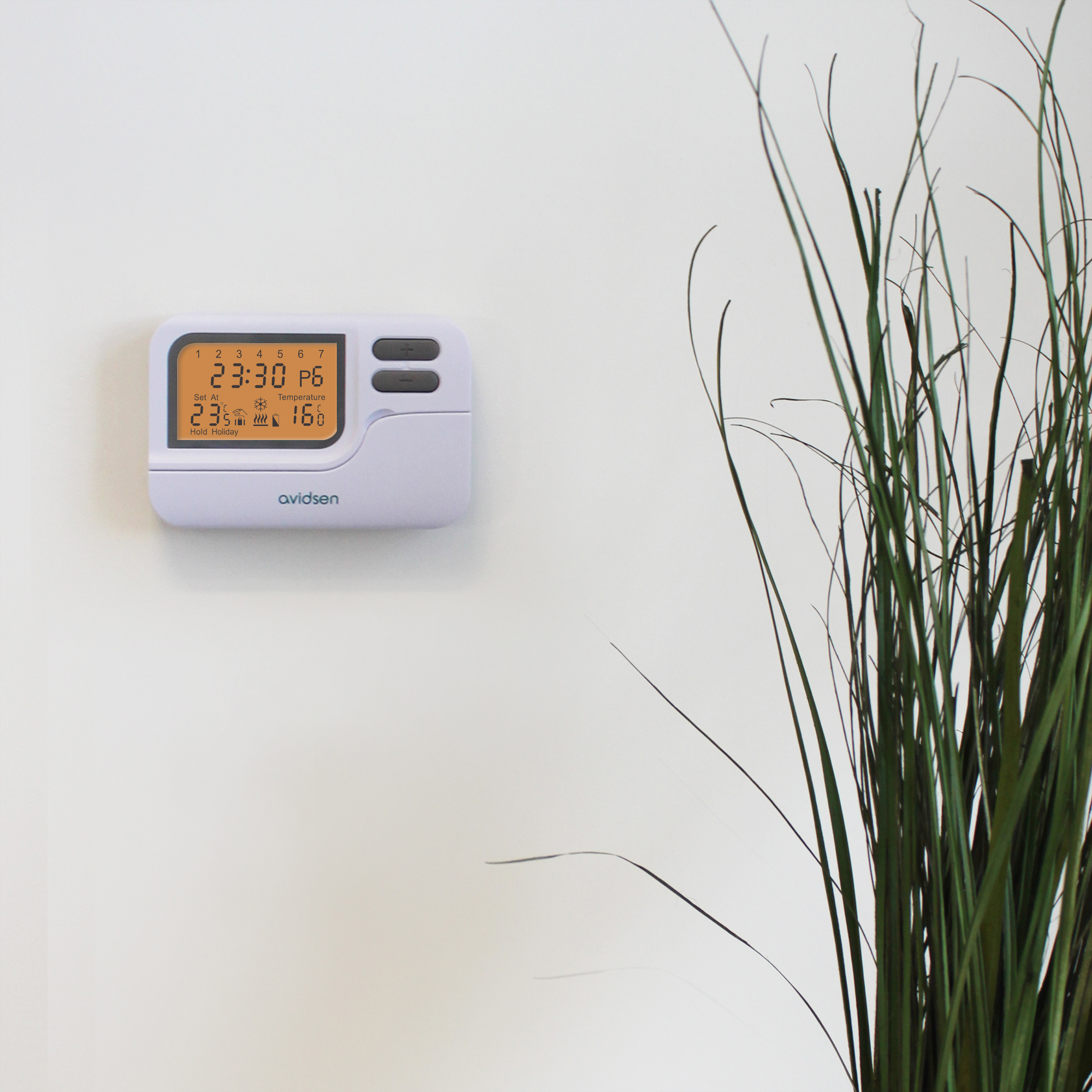 Thermostat Avidsen