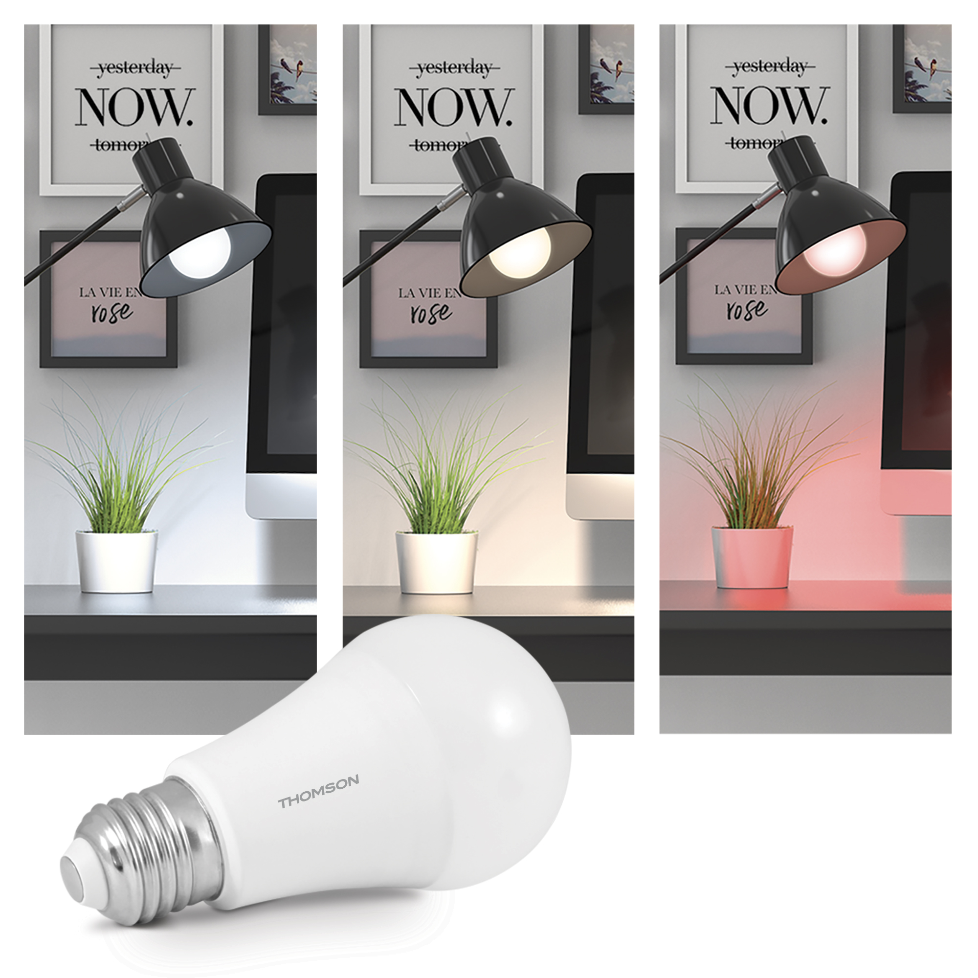Ambiance lumineuse avec ampoule Diane-Led