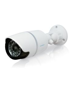 Caméra de surveillance factice intérieure ou extérieure - Avidsen - 123043