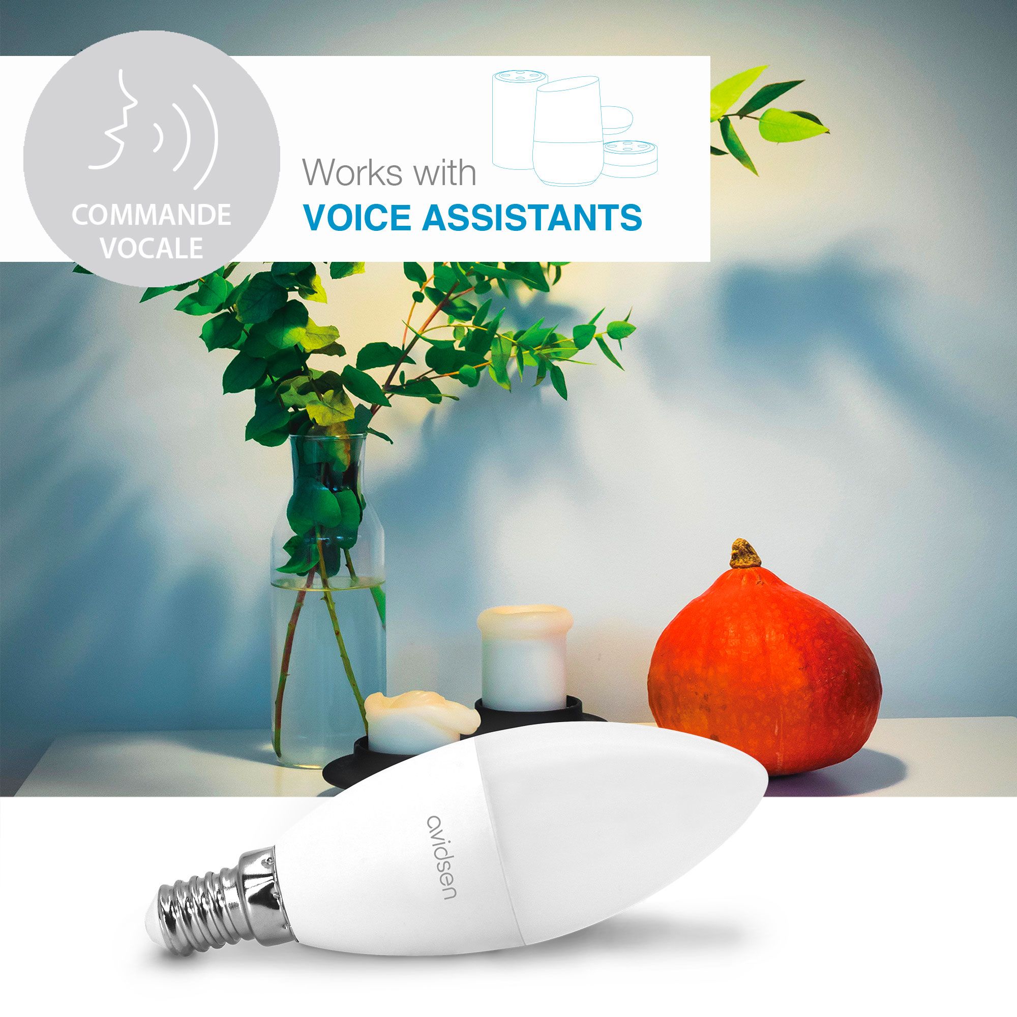 Des ampoules ludiques
