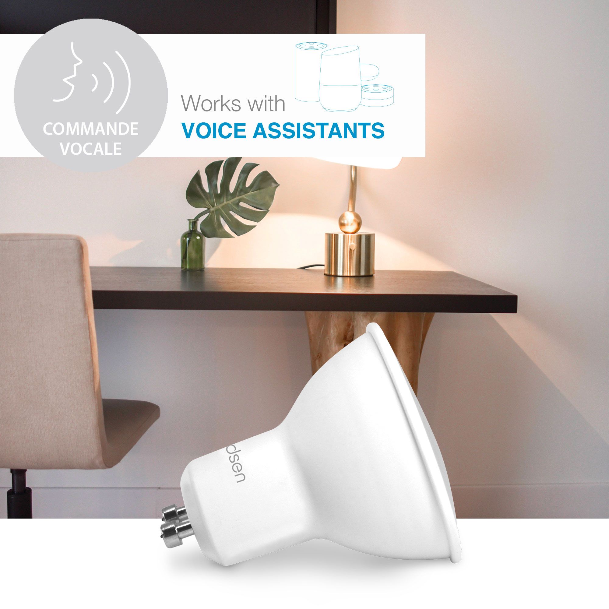 Compatibilité Avidsen Home et assistants vocaux