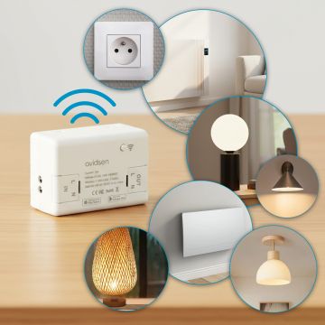 Avidsen HomeControl - Module de contrôle connecté pour éclairage, prise et radiateur électrique