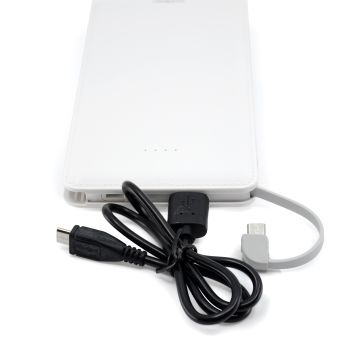 Power bank Batterie externe portable 10000 mAh Entrée Sortie 5V 1A  double recharge - Avidsen - 112772