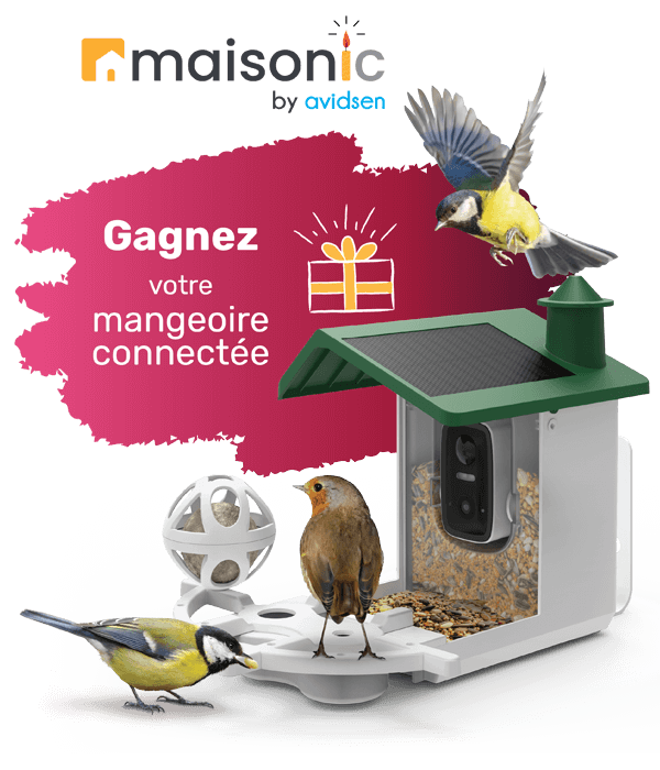 5 mangeoires connectées à gagner : tentez votre chance !